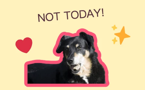 Dog cutout with a pink outline, heart and sparkle stickers, and NOT TODAY text