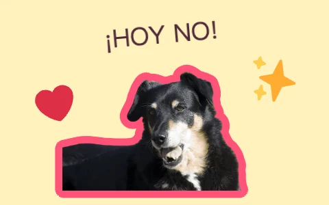 Perro con contorno rosa, pegatinas de corazón y destellos, y un texto