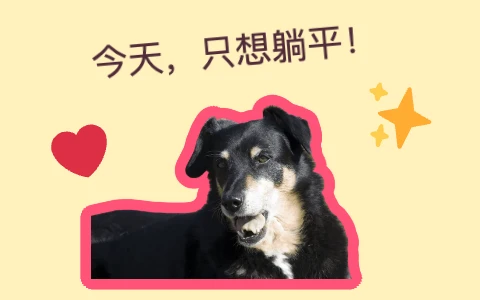 狗狗搭配粉色描边、爱心和星光贴纸，以及今天只想躺平文字